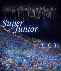 Hasil gambar untuk wallpaper elf indonesia
