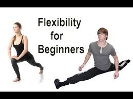 Image result for Getting Started With Flexibility and Stretching