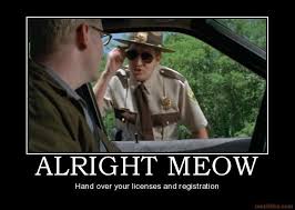 super troopers | Movie quotes | Pinterest via Relatably.com