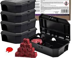 Image de rat control bait station professional basement