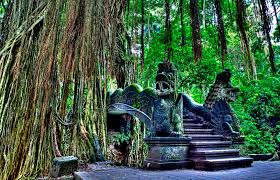 Hasil gambar untuk monkey forest bali