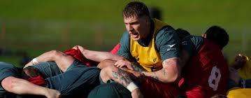 allblacks.com - News update