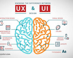 Image of UX/UI Designer