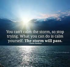 The storm will pass. No worries. | &quot;Keep calm &amp; read quotes ... via Relatably.com