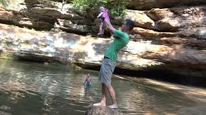 Image result for natures beauty