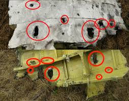 Image result for mh17 wings