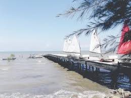 Image result for pantai kelanang morib