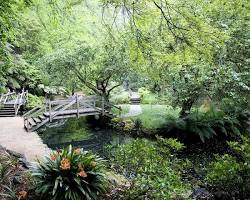 Image of Dandenong Ranges