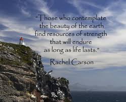 Make time for holiday reflections with inspirational quotes ... via Relatably.com