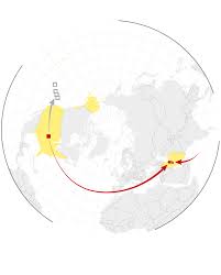 The New York Times - News update