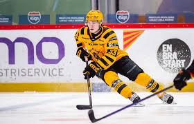 hockeysverige.se - News update
