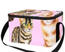 Image of cat with food delivery bag