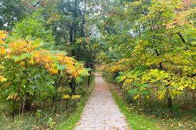 Guelph News - News update