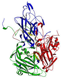 Picture of Senecavirus