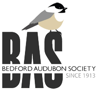 Resultado de imagen de Audubon Society
