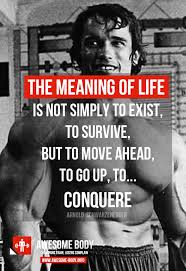 Arnold Schwarzenegger Inspirational Quotes. QuotesGram via Relatably.com