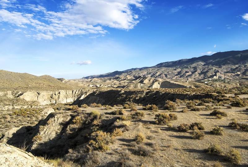 Tabernas