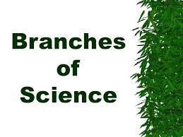 BRANCHES OF SCIENCE కోసం చిత్ర ఫలితం