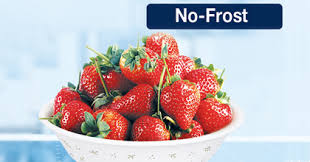 Imagini pentru no frost