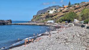 Madeira Island News Blog - News update
