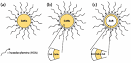 Synthesis, effect of capping agents, structural, optical and