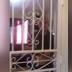 VIDEO: Miami landlord in jail over altercation about stray cats