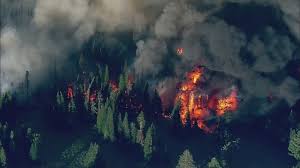 Red Flag Warning Meets Climate Shift: Why Washington’s Lightning-Fueled Wildfire Season Is Spiraling Out of Control