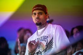 Chris Brown Dog Mauling Verdict $12.9M at Risk of Being Slashed — How Star Pet Liability Insurance Differs From Regular Dog Coverage