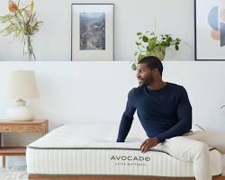 Avocado Latex Mattress