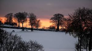 News source: Ouest-France