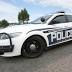 Moose antlers stolen in Peters Creek