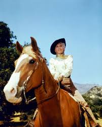 Image result for images of barbara stanwyck in the big valley