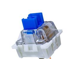 Blue switches | Alfrensia