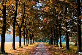 Image result for long paths