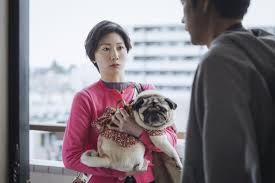 画像・写真 | 松山ケンイチ“元妻役”にネット驚き「『虎に翼』コンビだ！」 『時すでにおスシ!?』第4話で判明 2枚目