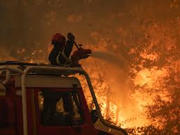 Waldbrände: Situation in Europa spitzt sich zu