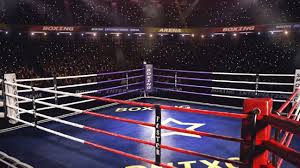 Boxeo