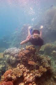 Hasil gambar untuk pecinta alam indonesia