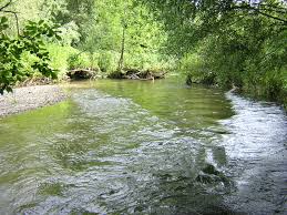 Picture of Paar