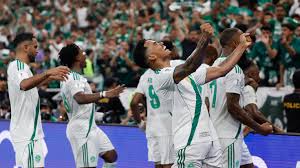 Liga De Campeones De La Afc