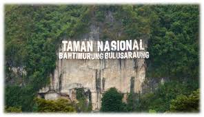 Hasil gambar untuk penangkaran kupu-kupu bantimurung