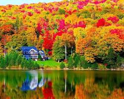 Maine fall foliage
