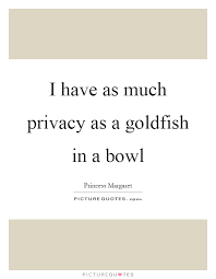 Bowl Quotes | Bowl Sayings | Bowl Picture Quotes via Relatably.com