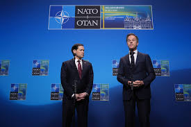 Trend Google: vertice della nato