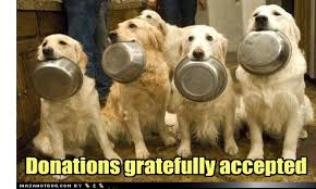 Image result for donate for pets