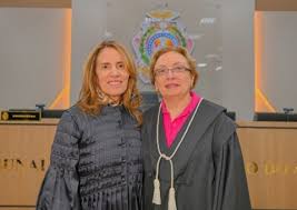 Portal do Holanda - News update