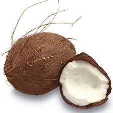 Image result for picture of coconut