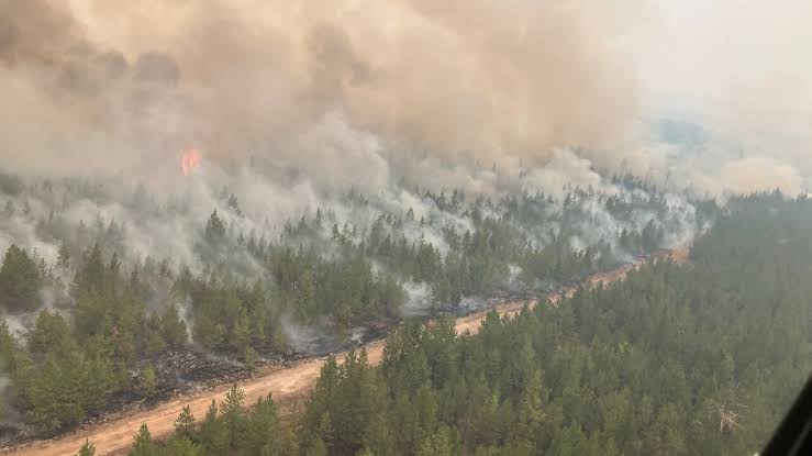 Pear Lake wildfire reaches outskirts of Clinton, destroying some structures, as smoke and ash from blazes cause power flickers across B.C.