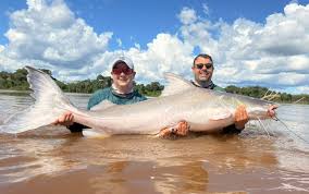 Gigante dos Rios: Conheça o Maior Peixe de Couro do Brasil, Proibido em Goiás