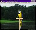 2 parrots singing and talking